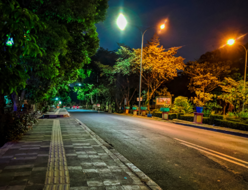 Solar Street Lights for Barangay and Subdivisions: What You Need to Know Before Buying
